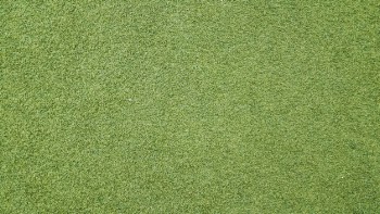 Grass texture background