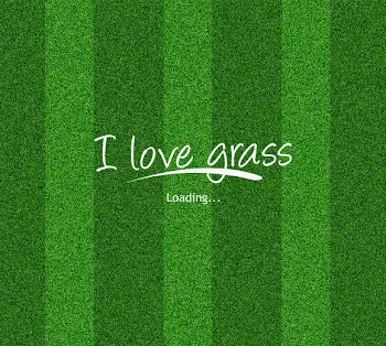 Grass Texture-Seamless