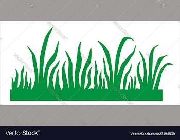 Grass vector image