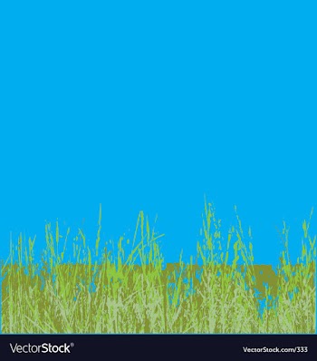 Grass vector image