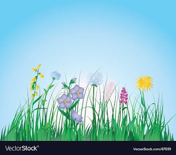 Grass vector image