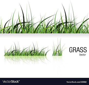  					Grass vector&nbsp;image														