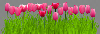 Grass with Pink Tulips PNG Clip Art Image | Gallery Yopriceville ...