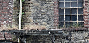 Grasses at the Top of Building Structure during Daytime