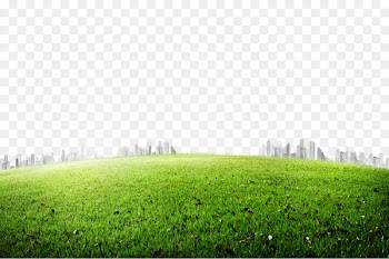 Grasses Icon - Meadow 