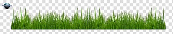 Grasses Line Leaf Family, capim transparent background PNG clipart