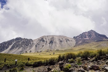 Grassfield and Mountain