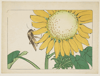 (Grasshopper and sunflower)Original from the Minneapolis | Free Photo - rawpixel