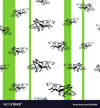 grasshopper locust in the style of doodles