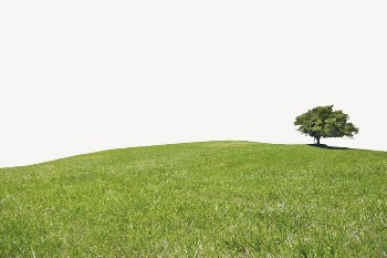 Grassland border collage element, nature | Free PSD - rawpixel