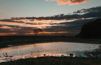 Grassland Under Cloudy Sky During Golden Hour