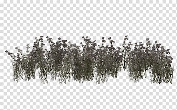 Grassland Vegetation Meadow, others transparent background PNG clipart