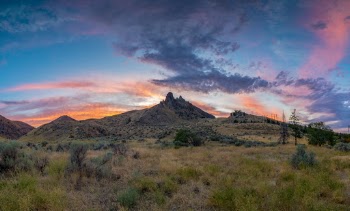Grassland With View Of Sunset