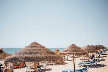 Grassy Beach Umbrellas