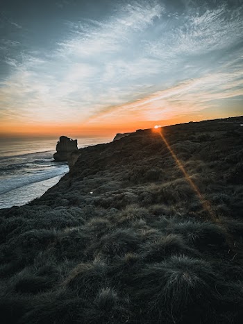 Grassy Shore with Sunset