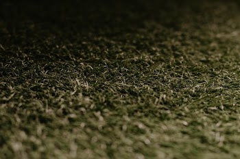 Grassy Turf Texture