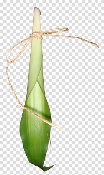 Gratis Euclidean , Tie leaves transparent background PNG clipart