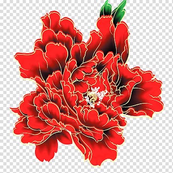 Gratis Safflower , Peony transparent background PNG clipart
