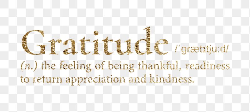 Gratitude png dictionary word sticker, | Free PNG - rawpixel
