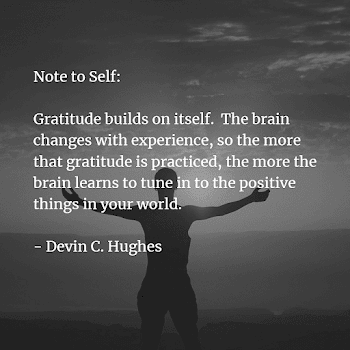 Gratitude & The Brain – Devin C. Hughes – Medium
