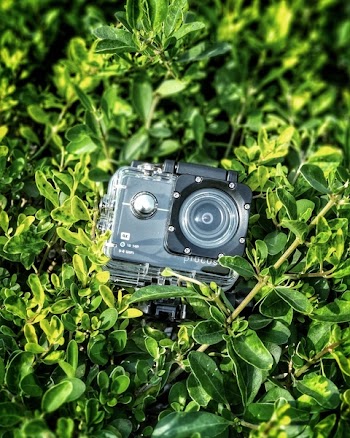 Gray and Black Action Camera on Green Leaves Plants