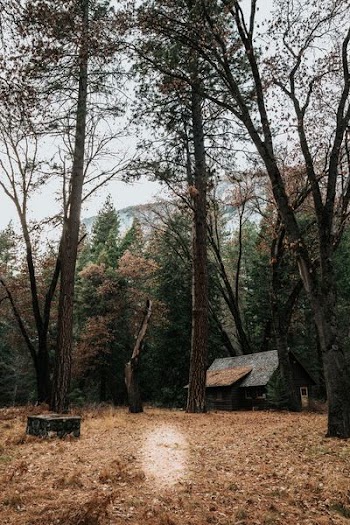 gray and black house near green leafed trees