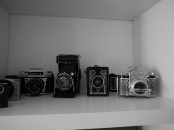Gray and Black Land Cameras