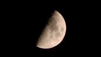 Gray and Black Moon