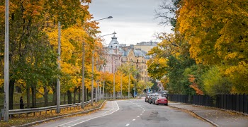 Gray and Blue Concrete Building Surrounded With Yellow Leafed Trees at Daytime