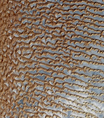 Gray and Brown Rough Textile