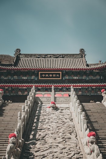 Gray and Green Building