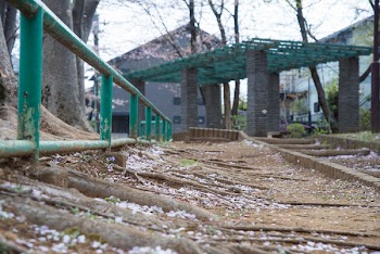 Gray and Green Building Structure Near Bare Trees