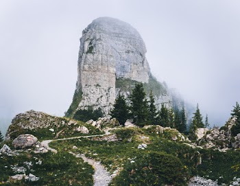 Gray and Green Mountain