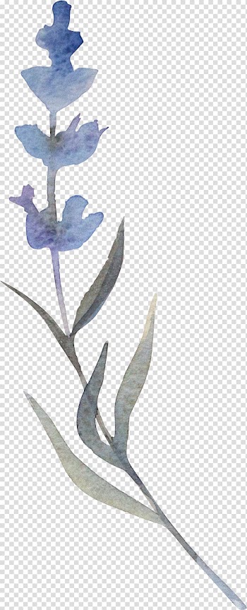Gray and purple petaled flower art, Watercolor painting Flower Illustration, Hand-painted Plants transparent background PNG clipart