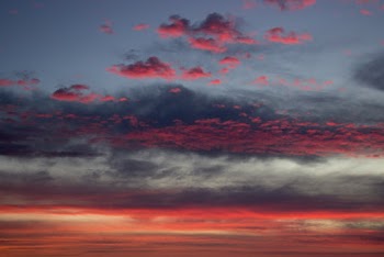 Gray and Red Sky