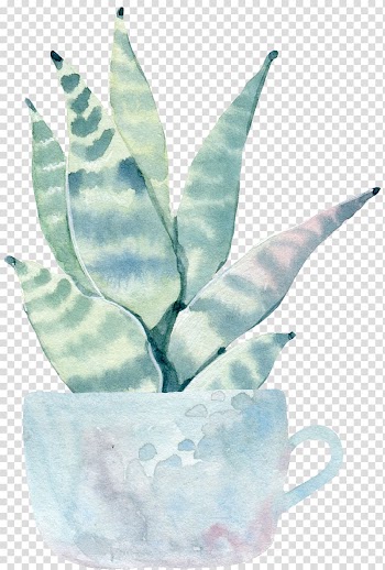 Gray and teal plant with pot painting, Saguaro Cactaceae Watercolor painting Illustration, Water color flower, green plant cactus transparent background PNG clipart