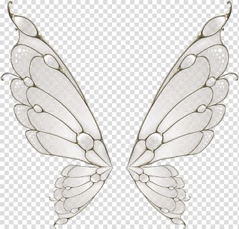 Gray and white butterfly wings illustration, Butterfly Wing Flight Moth, Painted white butterfly wings transparent background PNG clipart
