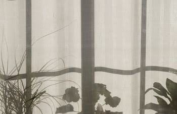 gray and white floral curtain