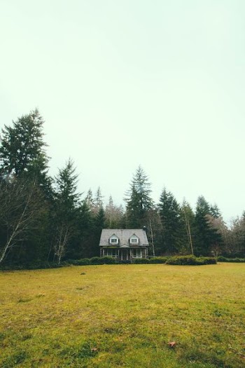 gray and white house near pine trees