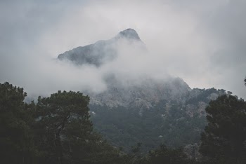 gray and white mountains surrounded by trees