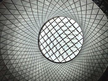 gray and white optical illusion