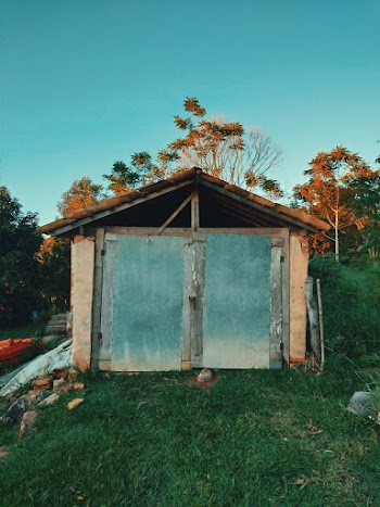 Gray and White Storage Shed