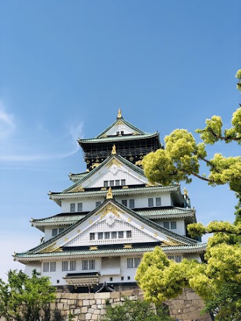 Gray and White Temple View