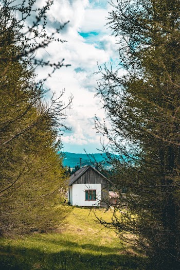 Gray and White Wooden House