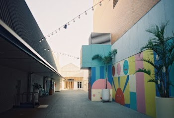 Gray and Yellow Concrete Building