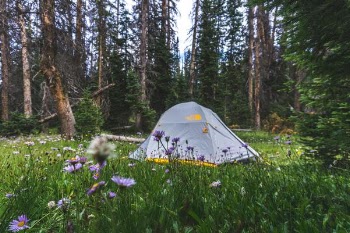 gray and yellow dome tent at forest during daytime