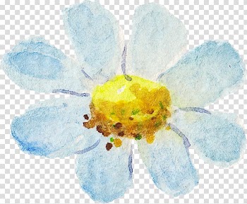 Gray and yellow flower art ], Watercolour Flowers Watercolor painting, Watercolor flowers transparent background PNG clipart