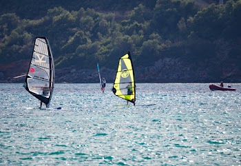 Gray and Yellow Sails