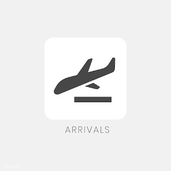 Gray arrivals sign plane icon vector | Free stock vector - 538346