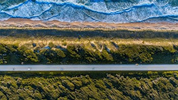 gray asphalt road in between green trees at daytime